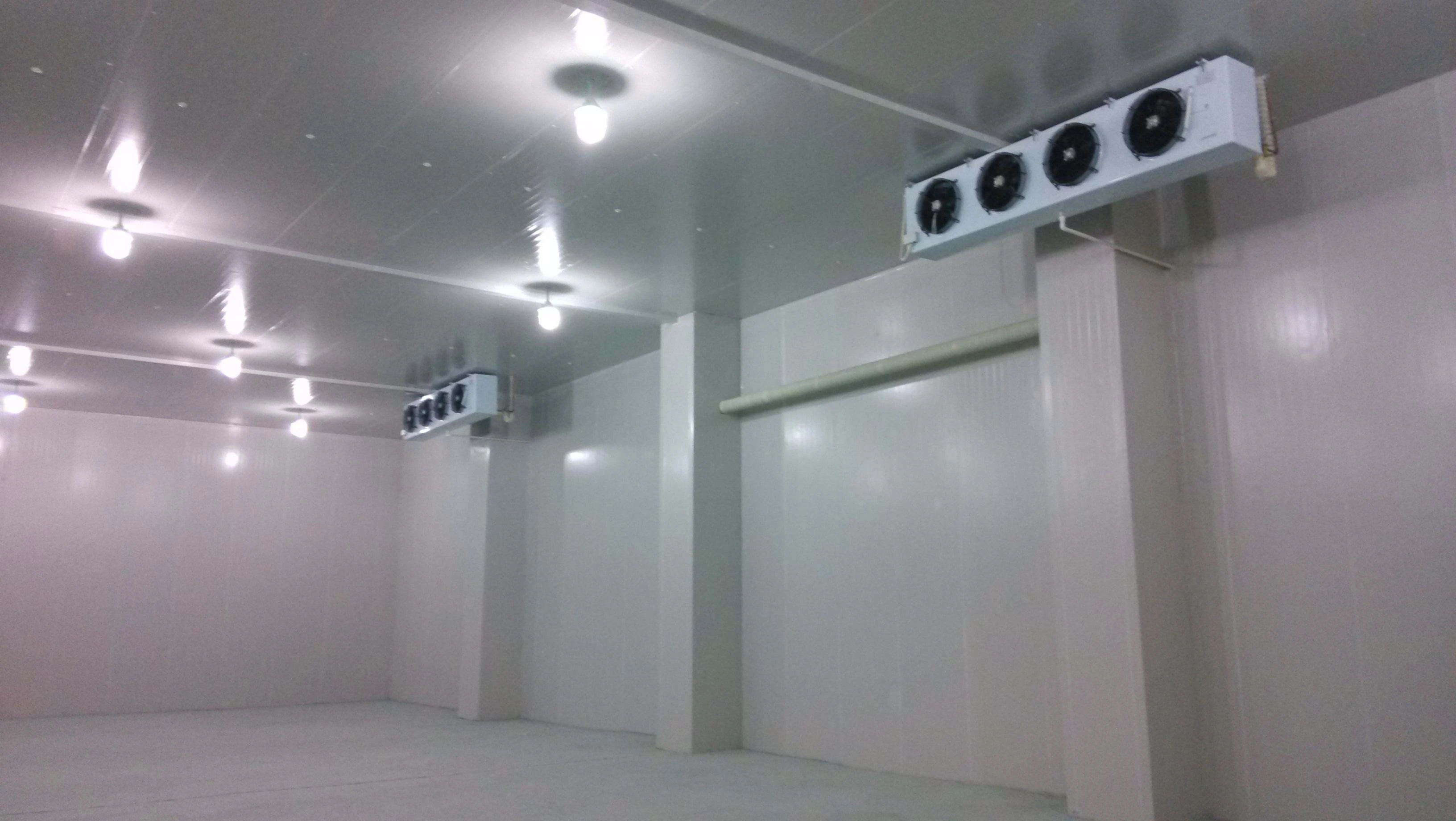 Field installation Prefabricated cold storage warehouse turnkey project for fruit and vegetable