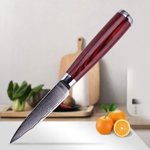 FINDKING Brand damascus knife 3.5 inch paring knife color wooden damascus steel kitchen knives fruit knife