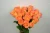Import First Class Orange Roses fresh cut flower for Weddings,Valentines Day,Decorate house from China