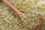 Fitness Lose Weight High Dietary Fiber Organic Barley Grass Grain Rice