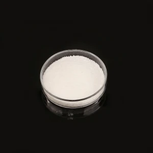 Flocculant Polyacrylamide Water Treatment Chemicals White Powder Chemical Auxiliary Agent PAM Waste Water Ect 1 Ton