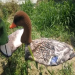 Flocked Greylag Goose Shell Decoy