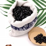 Free sample New crop high quality black kidney bean SMALL BLACK