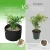 Import Free Samples 5 Pack 5 7 10 15 25 30 100 Gallon Felt Grow Bags 300G Thickened Fabric Pots with Handles from China