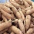 Import Fresh Cassava,FRESH CASSAVA TUBERS and SWEET TAPIOCA FRESH CASSAVA for sale from Philippines