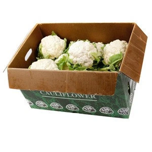Fresh Celery Cabbage packing box vegetable packaging paper box Celery Cabbage display paper box