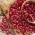 Import Fresh Dried RED KIDNEY BEANS from USA