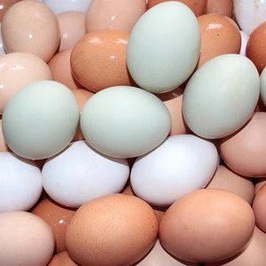 Fresh Farm  Chicken Eggs White And Brown For Sale