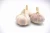 Import Fresh normal white garlic 4.5/5.0/5.5/6.0/6.5cm from China