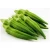 Import fresh Okra Lady Finger,okra extract ,dried okra powder from South Africa