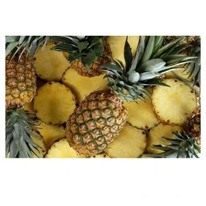 Fresh pineapples Wholesale supplier 100% High quality cheap rate Bulk Quantity