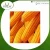 Import Fresh Quality Yellow Maize / Corn at Low Price from India