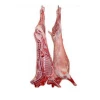Fresh/Frozen Sheep/Goat/Lamb Meat/Carcass Halal