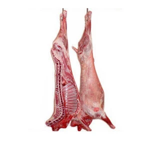 Fresh/Frozen Sheep/Goat/Lamb Meat/Carcass Halal