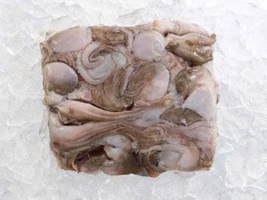 Frozen Baby Octopus Whole Clean