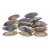 Import Frozen Short Necked Clam Meat With Shell from USA