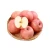 Import fuji apples fresh white  meat red apple laptop china from China