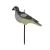 Import Full Body Plastic Pigeon Decoy With Built In Stake from China