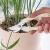 Import Garden Pruning Shears Fruit Tree Branch Grafting Clipping Pruner Secateurs Tool from China