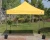 Import Gold Color Muti Option Colorful Top Tent Replacement PU Coated 10FTx10FT from China