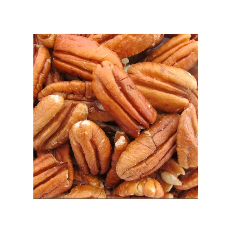 Good Quality Hot Selling Bulk Supply Fresh Pecan Nuts for Sale