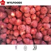 Grade A Frozen Fruit For IQF Strawberry in Wholesale