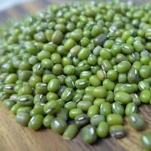 Green Mung Beans / Green Gram /Moong Dal / Vigna Beans