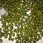 GREEN MUNG BEANS / VIGNA BEANS