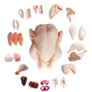 Halal Frozen Chicken Feet / Frozen Chicken Paws /Chicken Wings