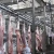 Halal Meat Slaughtering Machinery Camel For Abattoir Process