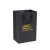 Import Handle Gold Hot Stamped Foiled Logo Black Packaging Shopping Paper Bag from China