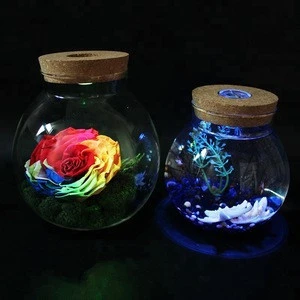 Handmade High Borosilicate Terrarium Glass Bottle for Plant with LED Light