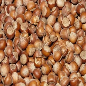 Hazelnuts From Turkey Best Price