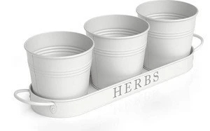 Herb Pot Planter Set with Tray for Indoor Garden or Outdoor Use, Decorative White Metal Succulent Potted Planters for Kitchen