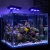 Import High Bright Aluminum Alloy Remote control Coral Reef cob aquarium light for Coral Reef Fish Tanks from China