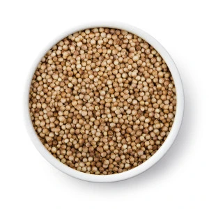 High Quality 100% natural Coriander Seeds price supplier