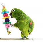 High Quality 7 pack Bird Parrot Chewing Toys Hanging Bell Pet Bird Cage Hammock Swing Toy Hanging Toy