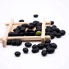High Quality Crop Black Kidney Bean With Green Core
