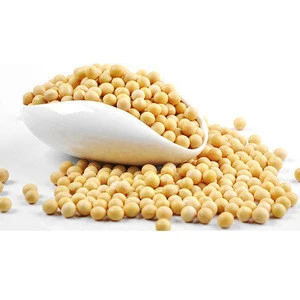 High quality Dried Soybeans
