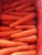 Import High Quality Fresh Carrot price from Philippines