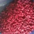 Import High Quality Frozen Iqf Raspberry  With New Crop from China
