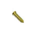 High Quality Indian Manufacturer Orthopedic Implant Bone Screw Spine Titanium Screw Cervical Self Tapping Bone Screw 4.0mm