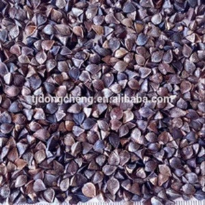 High Quality Organic Buckwheat