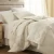 Import Home comfort soft luxury adult bedding quilted down comforter sets from China