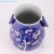 Import Home Decor Blue and White Ice Red Plum Porcelain Vases from China
