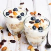 Home Made Yogurt Probiotic Kefir Culture Powder