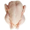 Hot Sale! Brazil Origin Halal Frozen Processed Chicken Feet / Chicken Breast / Chicken Wings