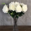 Hot Sale Real Looking White Color Long Stem PU True Touch Peonies