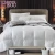 Import Hot Sale White Feather Goose Quilt/Duvet For Hotel Supplies from China