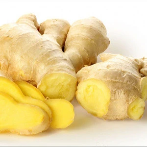 Hot sales price Fresh Ginger for sale